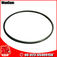 CUMMINS Piezas CUMMINS Liner Ring Seal para K Seriers